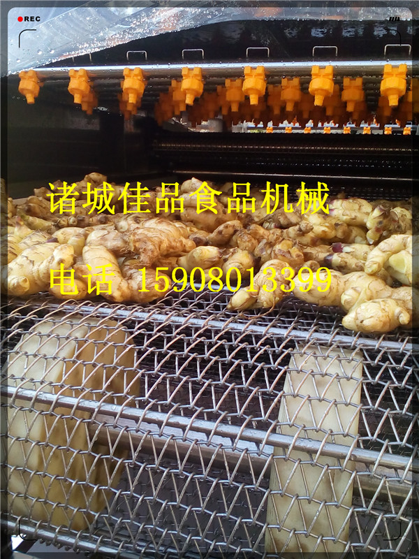 品質(zhì)大姜清洗機(jī) 小黃姜清洗線 鮮姜清洗設(shè)備廠家直銷佳品食品機(jī)械
