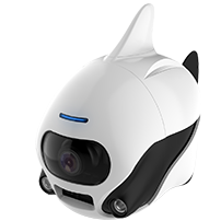 robosea無(wú)人魚
