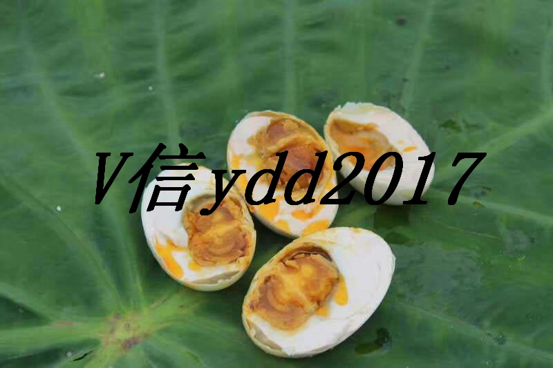 烤海鴨蛋烤鴨蛋咸北部灣紅樹林*廠家直銷廣西北海30枚流油* 海邊海鴨蛋