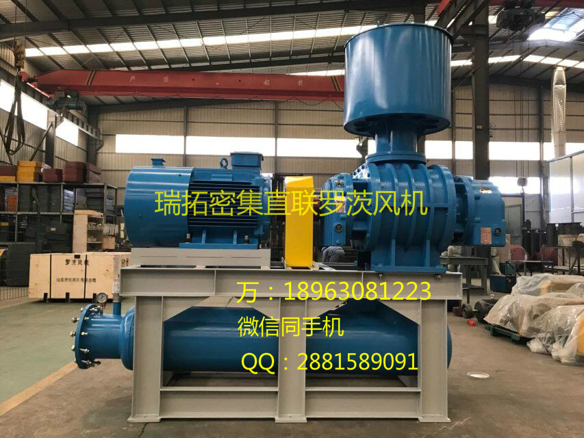 現(xiàn)貨供應(yīng)曝氣風(fēng)機(jī)RTSR水處理羅茨鼓風(fēng)機(jī)廠家