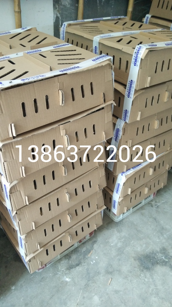 改良笨雞苗土雞苗