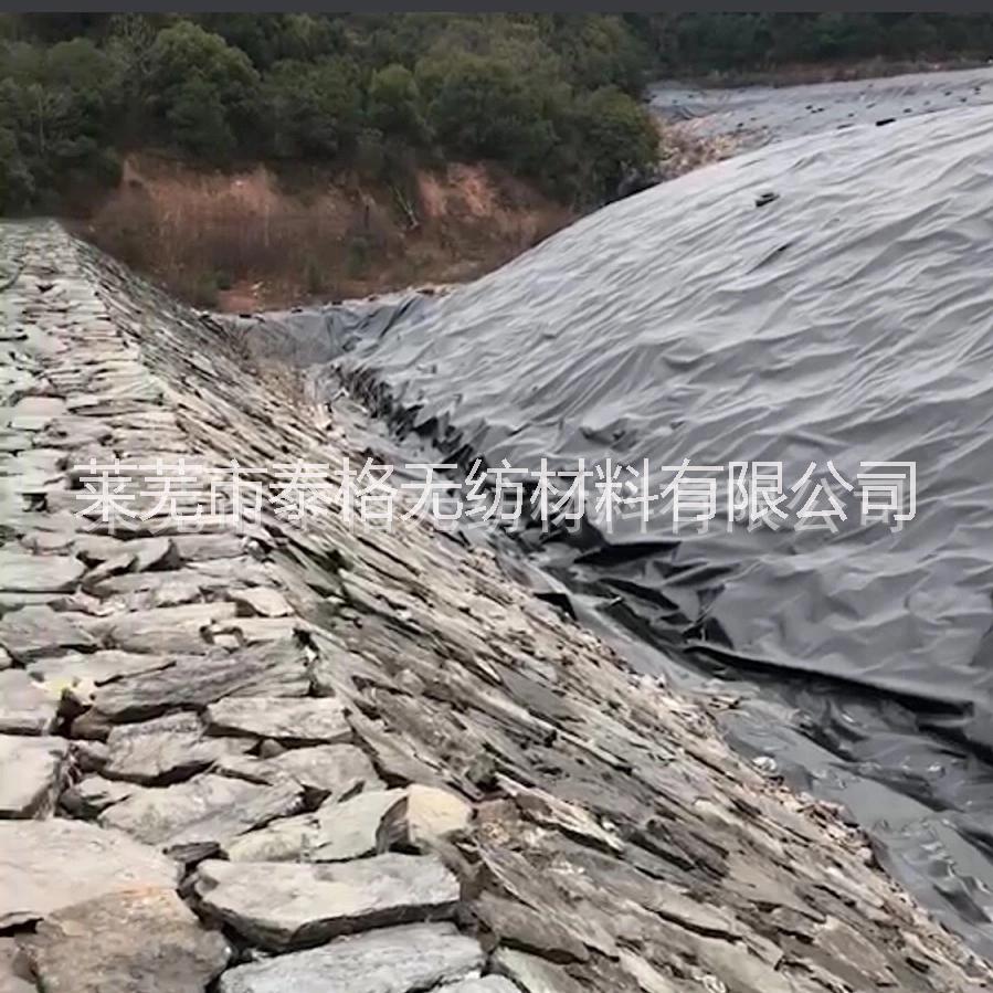 土工膜 土工膜 HDPE土工膜廠家 垃圾填埋場 人工湖 魚塘 防滲土工膜 土工膜 防水板 HDPE土工膜