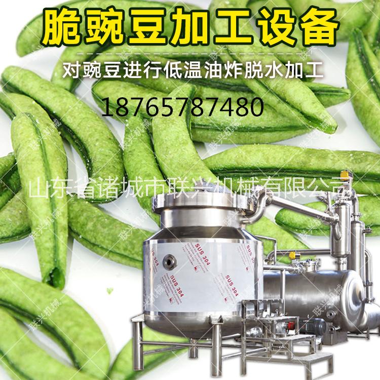 諸城聯(lián)興 果蔬脆片真空油炸機(jī)  ZK-900C