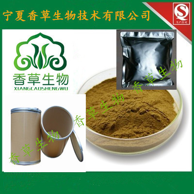 沙棘多肽 沙棘蛋*寧夏廠家直銷 沙棘籽粕提取蛋白質(zhì)含量20%  沙棘肽粉 低聚肽 沙棘小分子肽價格