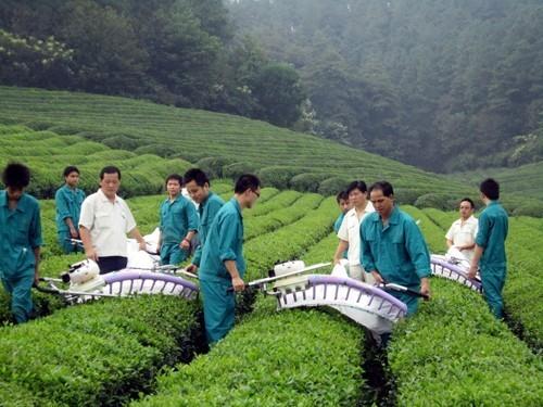 宏祥機(jī)械抬式雙人采茶機(jī)四沖程茶葉采摘機(jī)