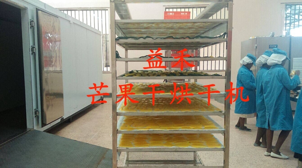 柬埔寨芒果干烘干機 越南芒果烘干機
