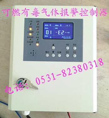 濟(jì)南鼎諾安防專業(yè)供應(yīng)DN-T1000現(xiàn)場(chǎng)顯示液化氣泄漏報(bào)警探測(cè)器 DN-T4000天然氣報(bào)警器