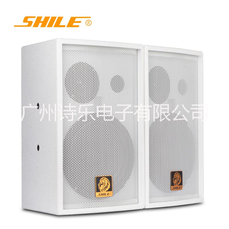 獅樂音響B(tài)X-208專業(yè)會議音響 專業(yè)舞臺音響培訓(xùn)室KTV包房學(xué)校專業(yè)音箱