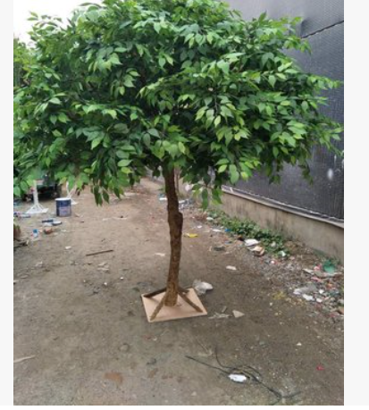 廣東仿真榕樹廠家直銷 廣東楓樹橘子樹批發(fā) 廣州玻璃鋼榕樹廠家 廣州仿真榕樹供應(yīng)商