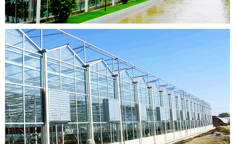 河北玻璃溫室工程  專業(yè)溫室工程建設(shè) 溫室廠家 玻璃溫室骨架 溫室配件 廠家