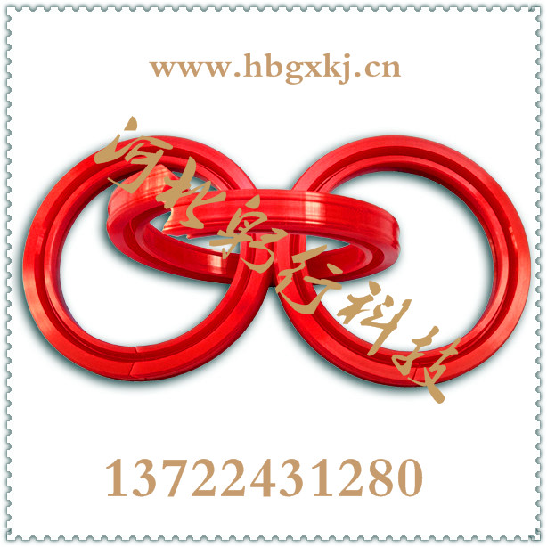 分體式油封分體式油封大型機(jī)械配件專業(yè)供應(yīng)商