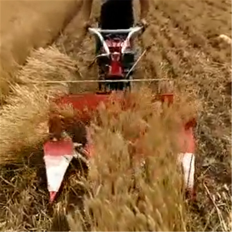辣椒豆秧割曬機(jī) 山東割曬機(jī)廠家 手推式收割機(jī)多少錢一臺(tái)