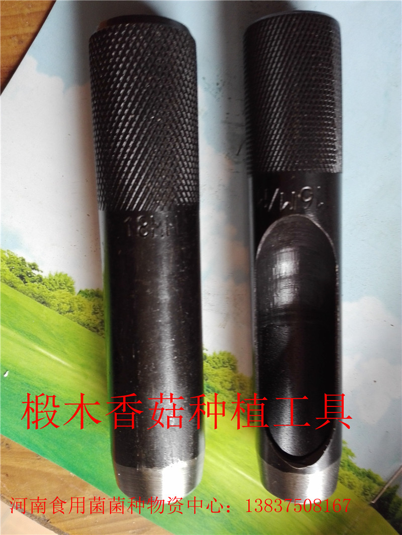 食用菌技術(shù)培訓(xùn)     河南食用菌技術(shù)培訓(xùn)公司   河南食用菌技術(shù)培訓(xùn)價(jià)格  河南食用菌技術(shù)培訓(xùn)