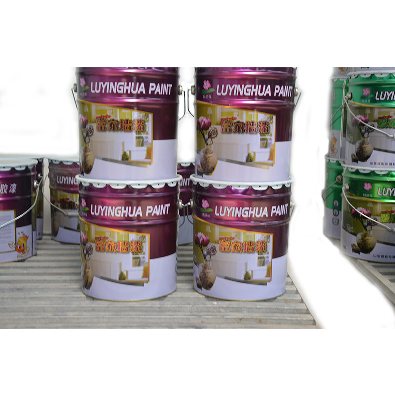 室內(nèi)墻面漆 內(nèi)墻凈味白色乳膠漆 耐水耐污防霉涂料 富家漆