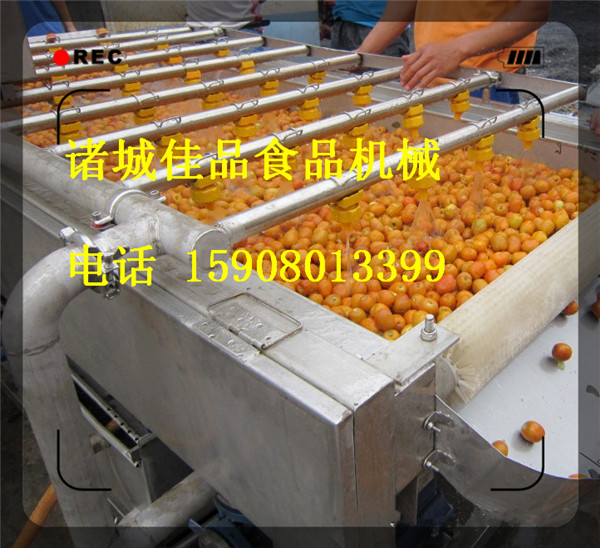 花生去泥清洗機(jī) 辣椒清洗機(jī)廠家直銷 佳品食品機(jī)械