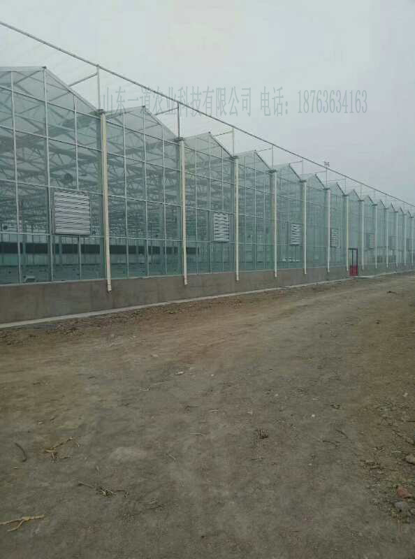 哈爾濱  哈爾濱 恒溫智能溫室大棚育苗室節(jié)能日光溫室大棚