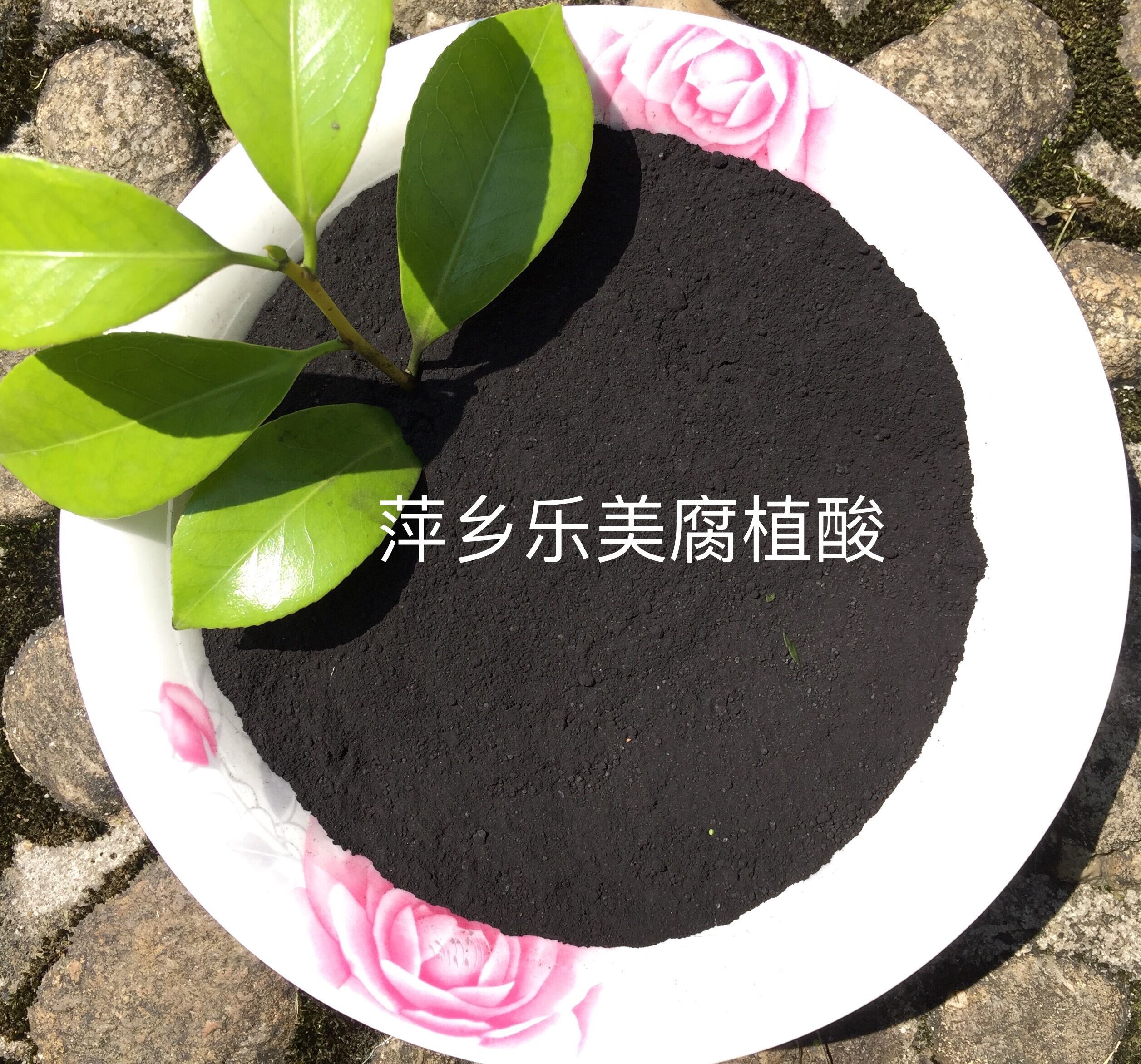 水產(chǎn)養(yǎng)殖用 抑制青苔藍(lán)藻 調(diào)水改底 腐殖酸鈉 腐植酸鈉 粉末 水產(chǎn)用