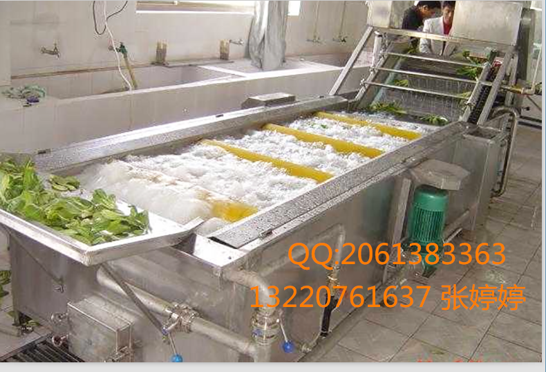 葉菜 、根莖氣泡清洗機 葉菜 、根莖凈菜清洗機