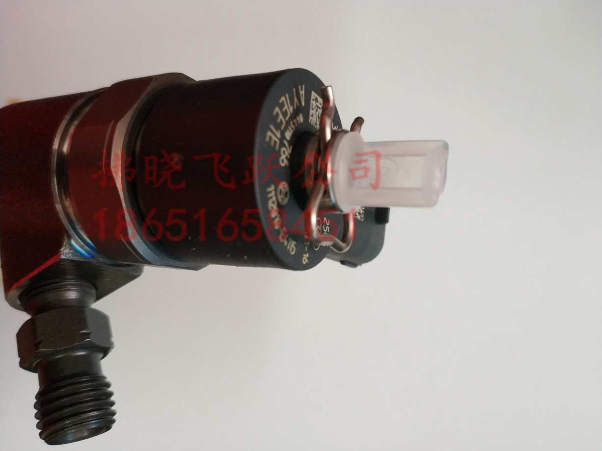 東風(fēng)銳鈴騏凱普特斯達(dá)御風(fēng)噴油器油嘴總成ZD2830輕型發(fā)動(dòng)機(jī)配件皮卡貨車(chē)