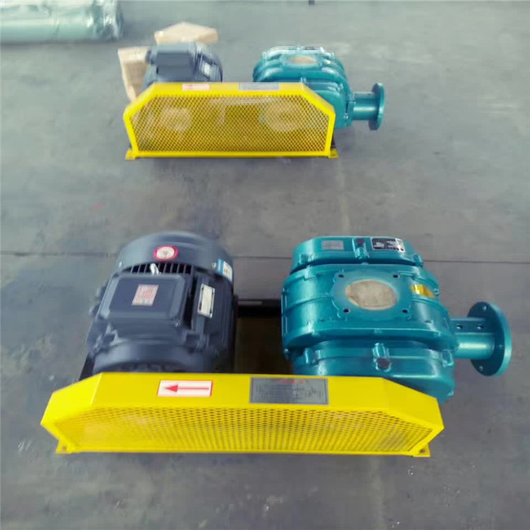 重慶羅茨風(fēng)機(jī)維修,羅茨風(fēng)機(jī)進(jìn)水的維修流程