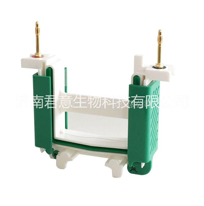濟(jì)南君意生物科技有限公司現(xiàn)貨供應(yīng) MINI-P4型 小型垂直電泳槽 小型垂直電泳槽-廠家現(xiàn)貨供應(yīng)