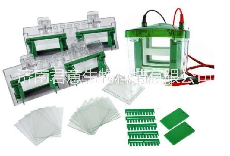 濟(jì)南君意生物科技有限公司現(xiàn)貨供應(yīng) MINI-P4型 小型垂直電泳槽 小型垂直電泳槽-廠家現(xiàn)貨供應(yīng)