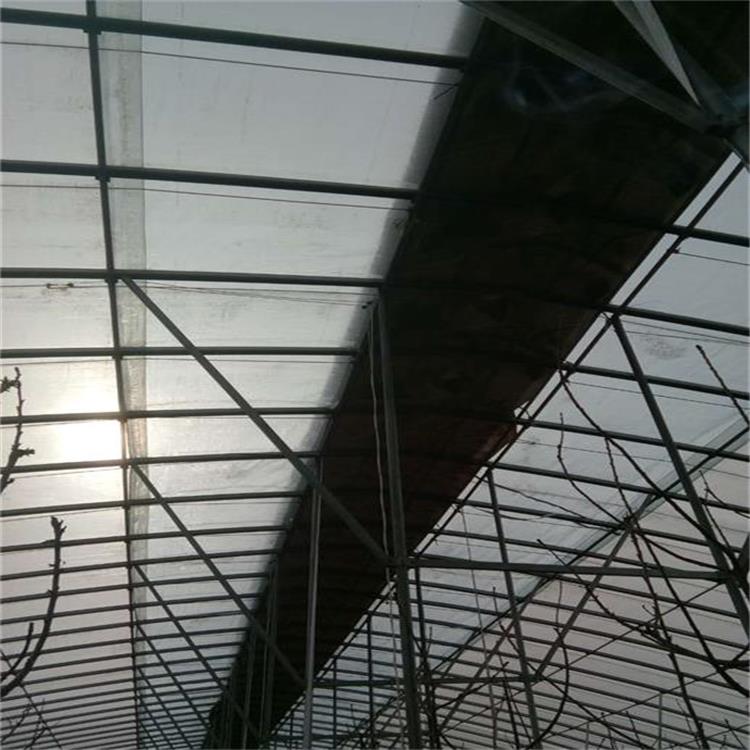 櫻桃大棚建設(shè)