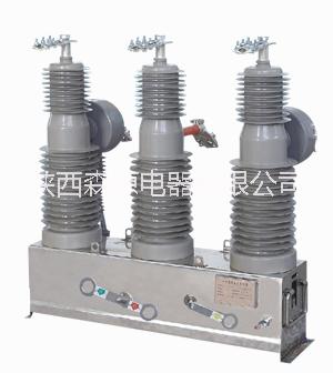 ZW32-24G戶外高壓真空斷路