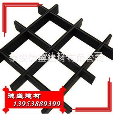 滌綸土工格柵廠家 泰安直銷(xiāo)土工格柵 *惠