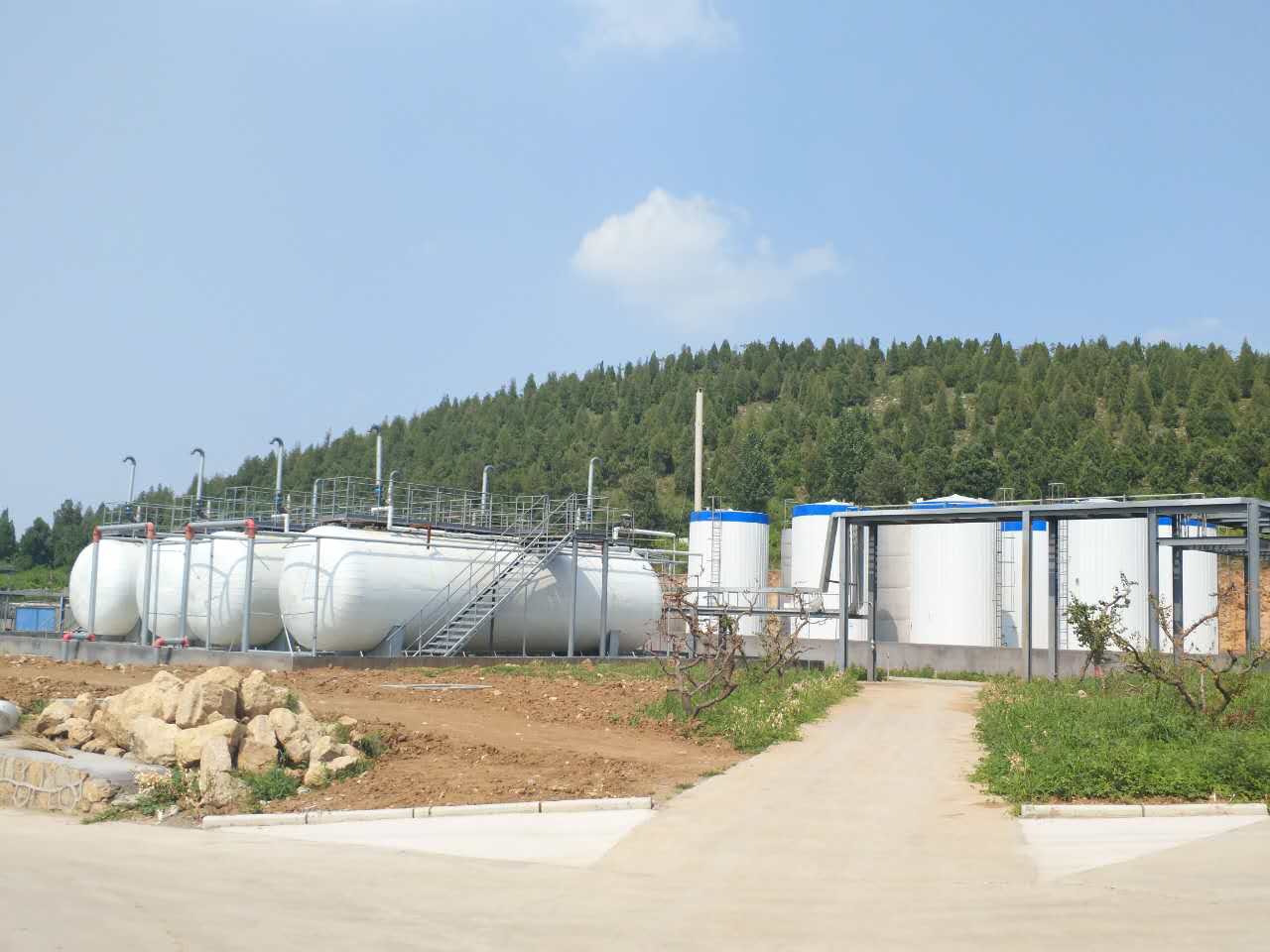 山東 柔軟劑 SG-6 脂肪酸聚氧*醚