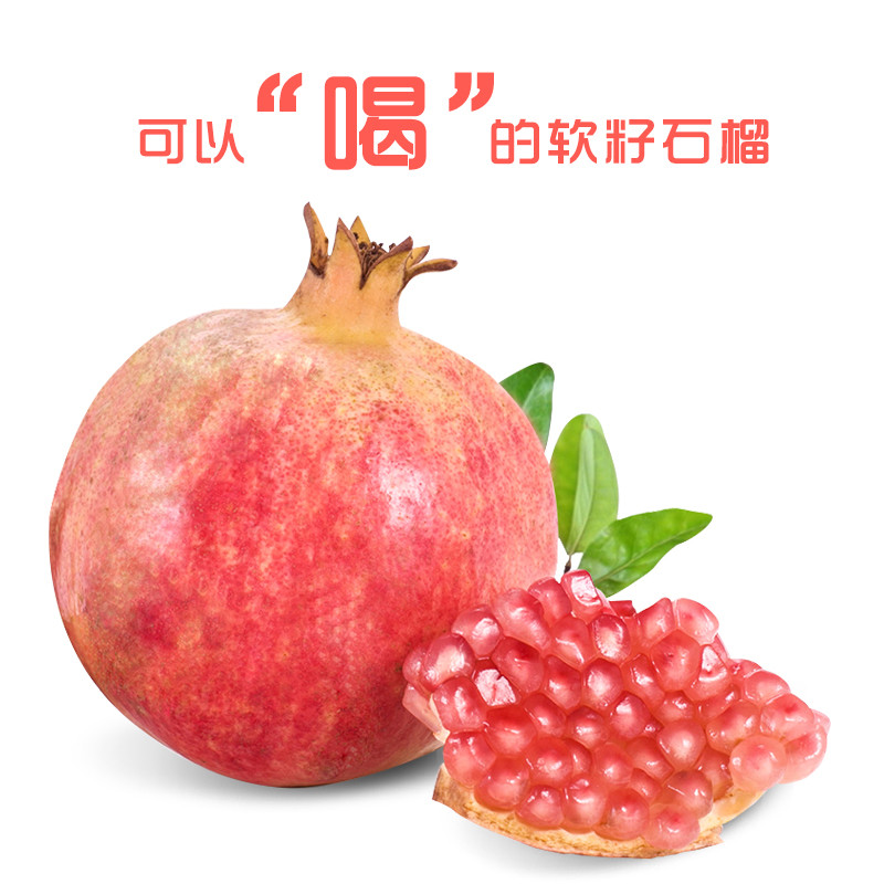 軟籽石榴-河南軟籽石榴基地報價-河南軟籽石榴哪家好-河南軟籽石榴批發(fā)價格