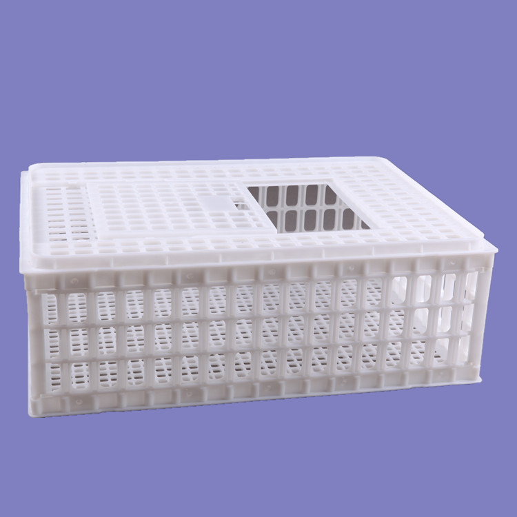 塑料鴨籠子 大鴨筐子 大鴨運(yùn)輸籠 雞籠子