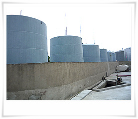 供應(yīng)二異丁酯 DIBP