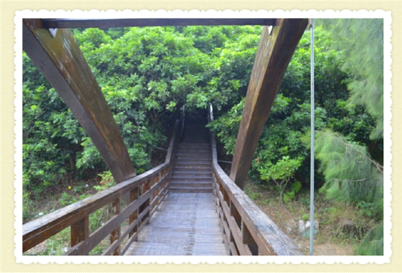 防腐木生產(chǎn)廠 貴州防腐木生產(chǎn)廠家 貴陽防腐木生產(chǎn)廠商