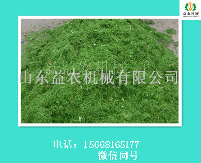 河南玉米秸稈揉絲機(jī) 小揉絲機(jī)