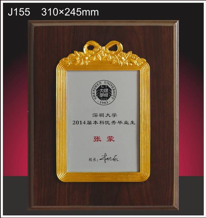 金箔獎(jiǎng)牌授權(quán)牌榮譽(yù)牌牌匾創(chuàng)意花邊
