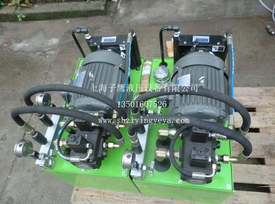 專業(yè)中小型液壓站設(shè)計(jì)圖紙