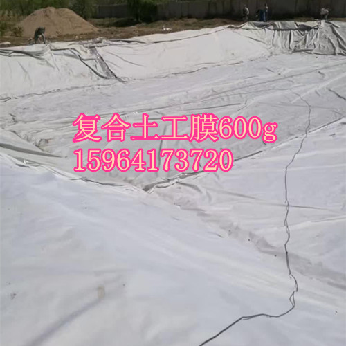 長(zhǎng)絲復(fù)合土工膜 垃圾填埋場(chǎng)覆蓋防水長(zhǎng)絲復(fù)合膜