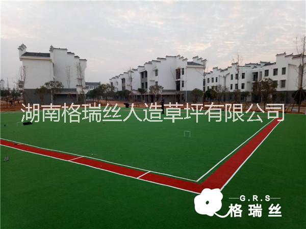 門球場(chǎng)草坪價(jià)格 門球場(chǎng)草坪價(jià)格 門球草 門球場(chǎng)