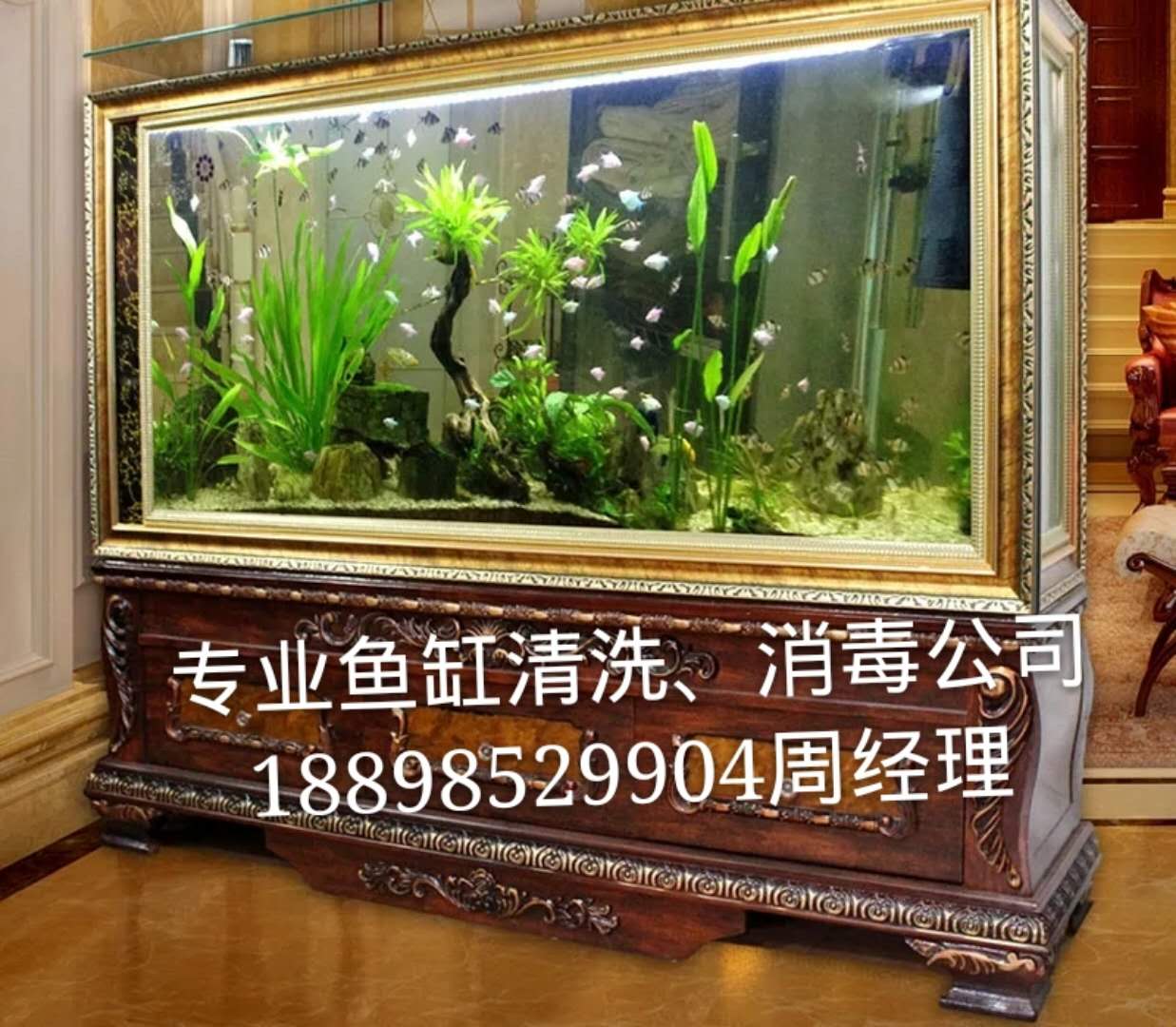 魚缸清洗 護(hù)理魚缸