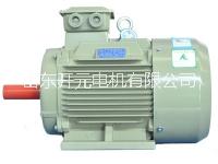 YEJ電磁制動 YEJ系列電磁制動供應(yīng)商 YEJ系列電磁制動電動機 山東開元電機有限公司