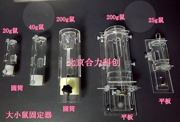 單筒小鼠固定器架  型號：HL-GJ-1