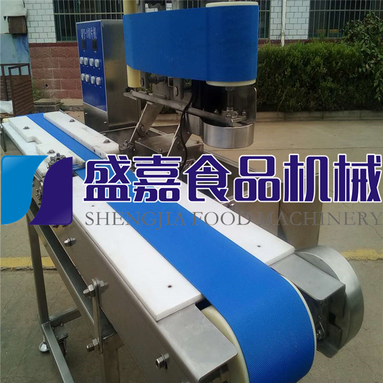 鲅魚切丁機(jī) 冷凍肉切丁機(jī)