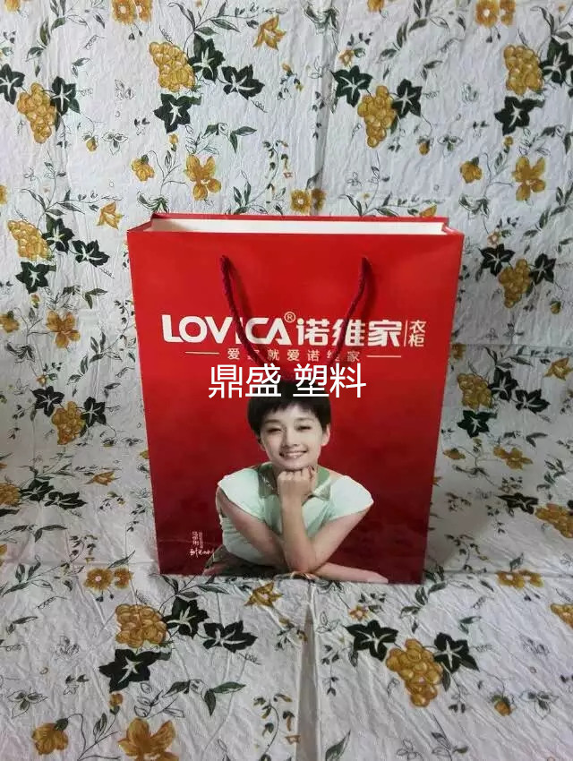 長春市紙袋廠塑料彩印加工廠