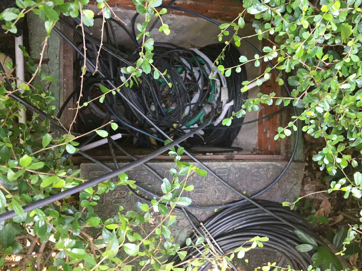專業(yè)二十年綜合網絡布線工程、光纖寬帶、安防監(jiān)控、弱電工程
