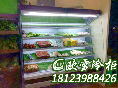 深圳龍崗哪個(gè)牌子廠家有現(xiàn)貨水果風(fēng)幕柜直銷