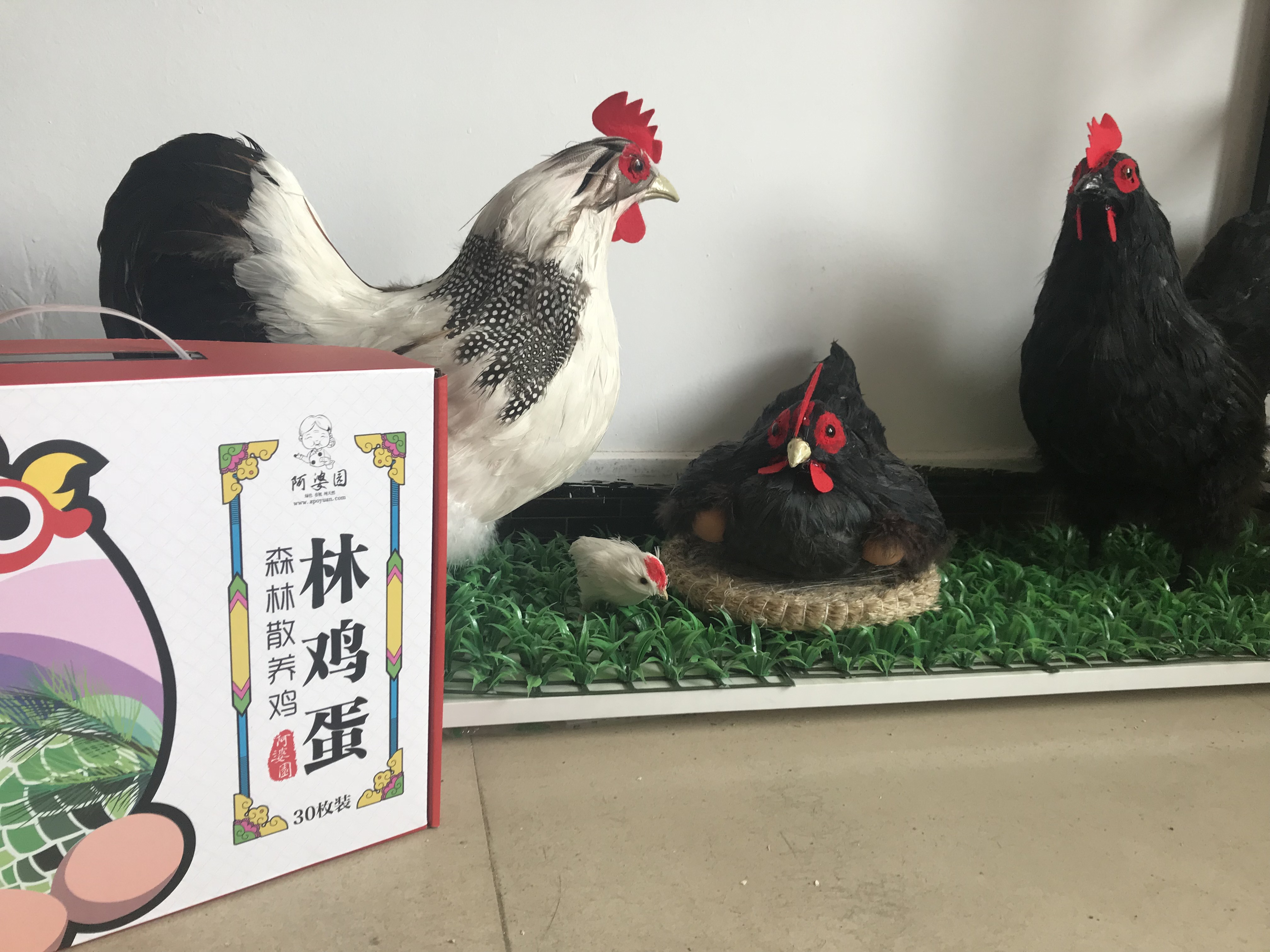森林雞銷售