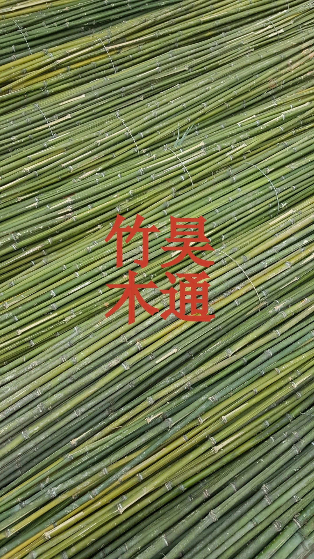 【2020】 雪峰山2.3米、2.5米、3米菜架竹、竹竿、架材、竹架條 、小竹竿