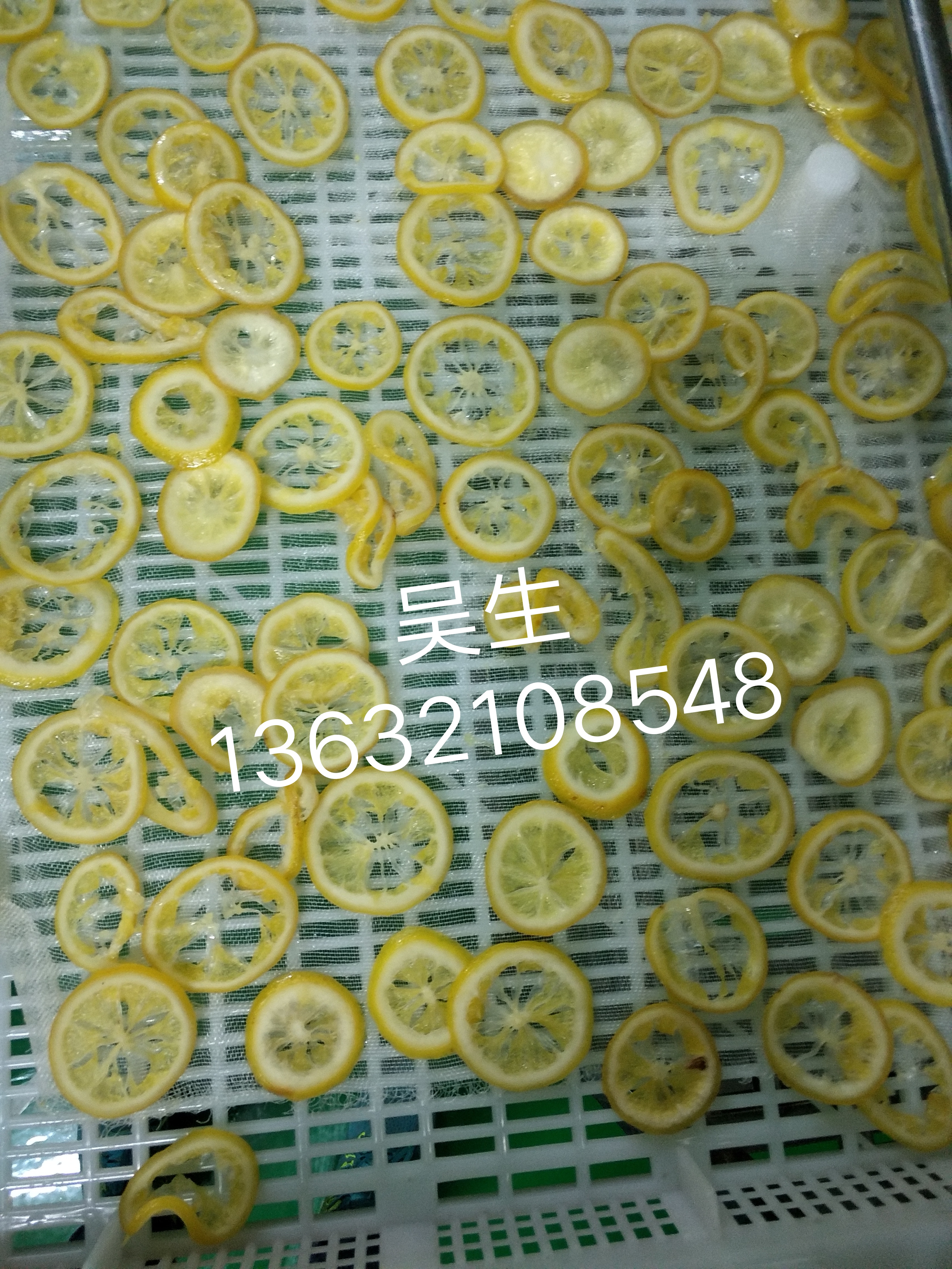 三七 烘干機(jī)