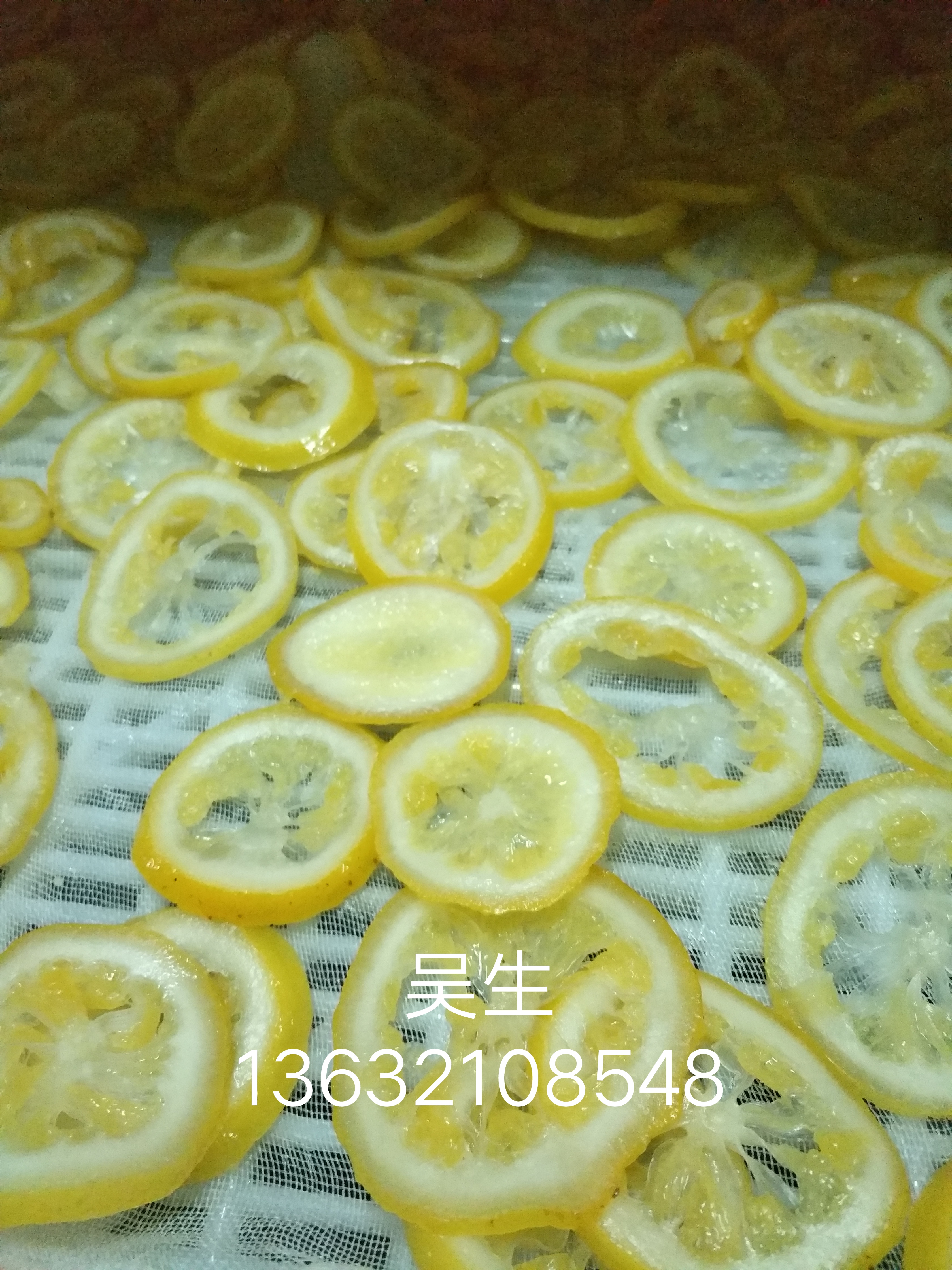 三七 烘干機(jī)